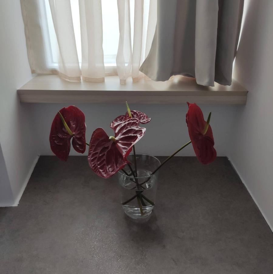 Petmeza Apartment 2 By Dimitropoulos Aigio Dış mekan fotoğraf